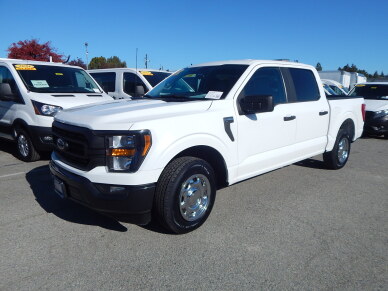 Used 2023 Ford F150 1/2-Ton with 36,066 miles for sale in Palo Alto, CA at $35,995